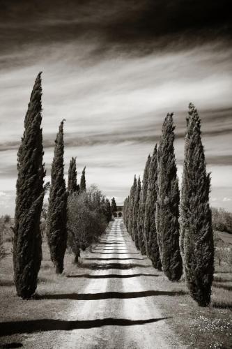 Road to the farm