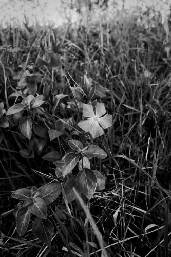 DSC08411 large