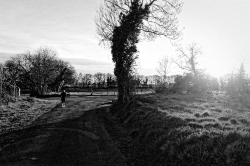 DSC08412 large