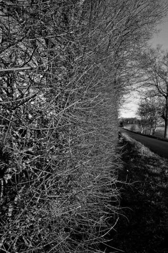 DSC08427 large