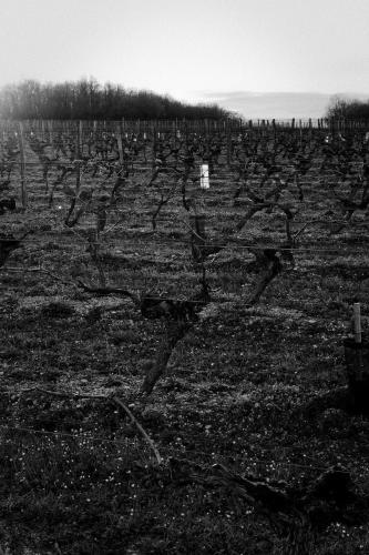 DSC08432 large