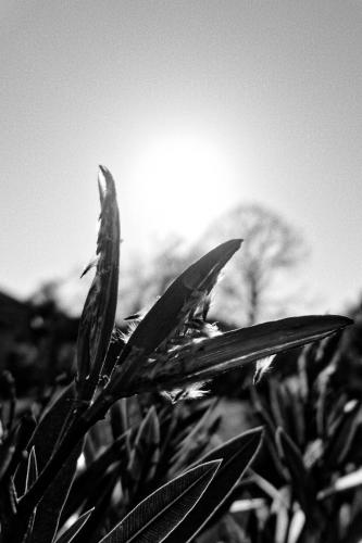 DSC08548 large