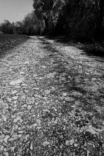 DSC08598 large