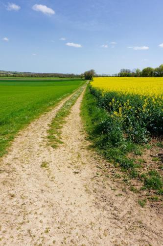 DSC08618 colour large