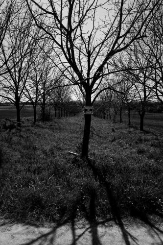 DSC08625 large