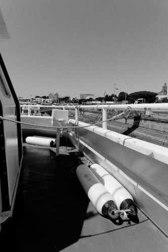 IMG 1125 DxO