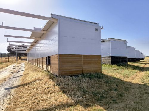 IMG 20250622 101312 DxO