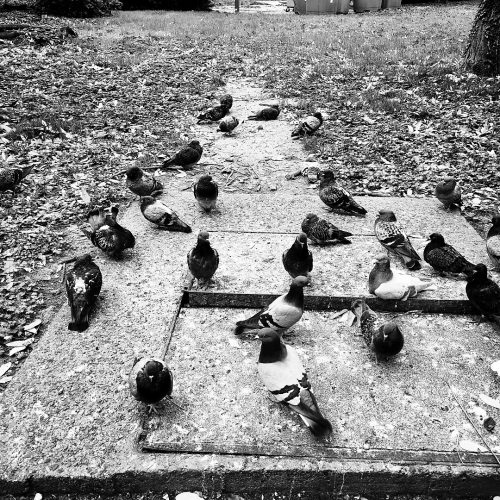 IMG 20251111 101749 Processed