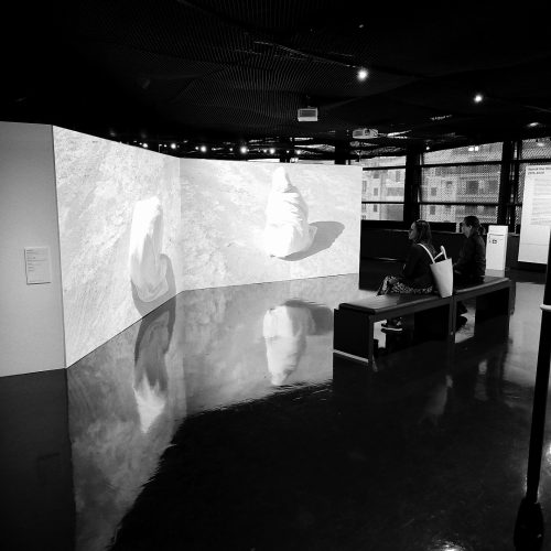 IMG 20251113 114431 Processed