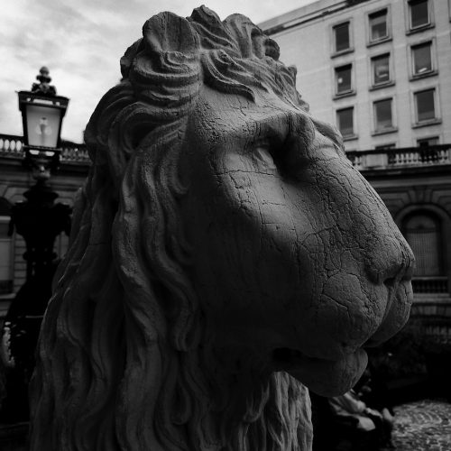 IMG 20251113 142012 Processed