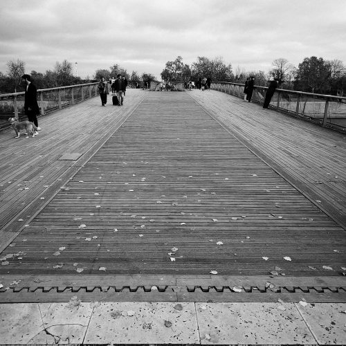 IMG 20251115 111337 Processed