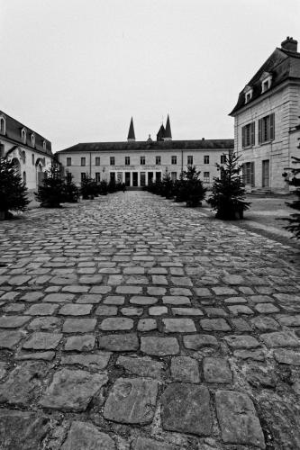 Abbaye of Fontevraud