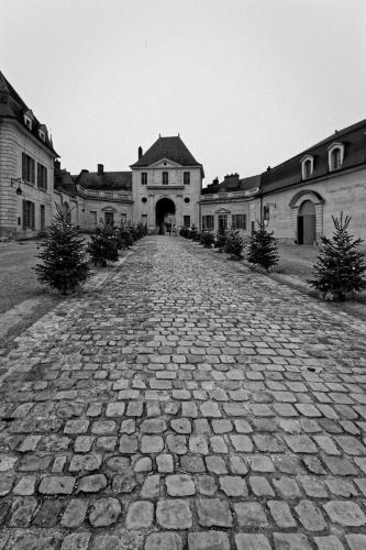 Abbaye of Fontevraud