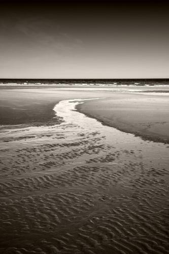 img 0216-nb-toned-Large-