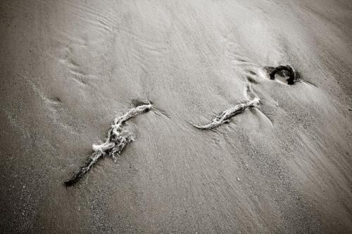 Rope in the sand