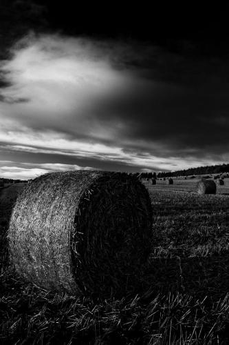 Hay bales