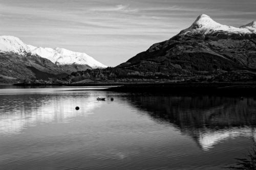 Wee boat on the loch